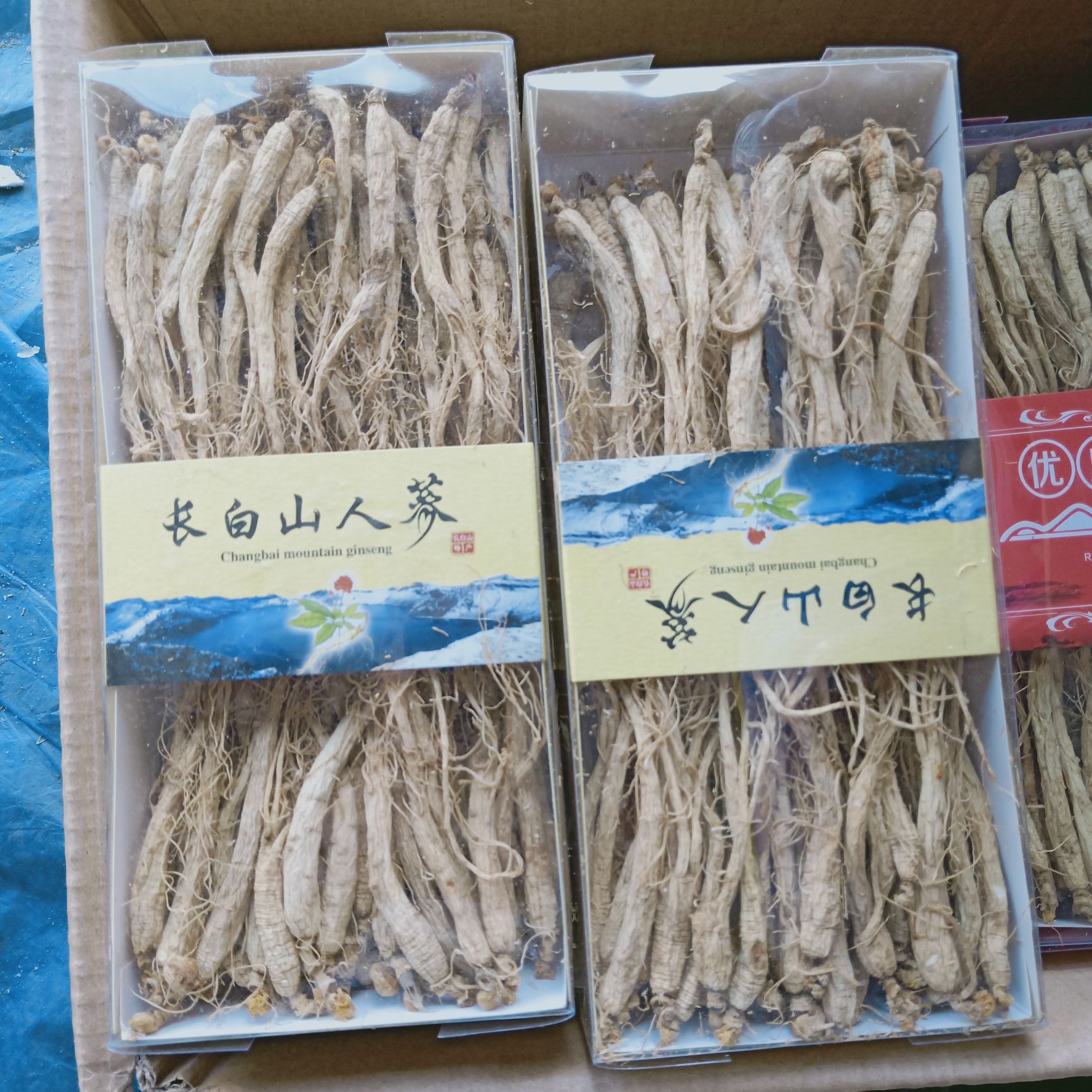 林下参  人参生晒参炖汤料