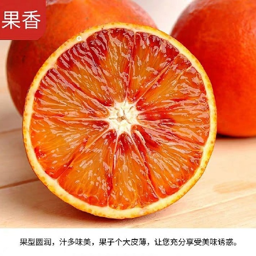 平邑县塔罗科血橙苗 嫁接苗 0.5~1米 
