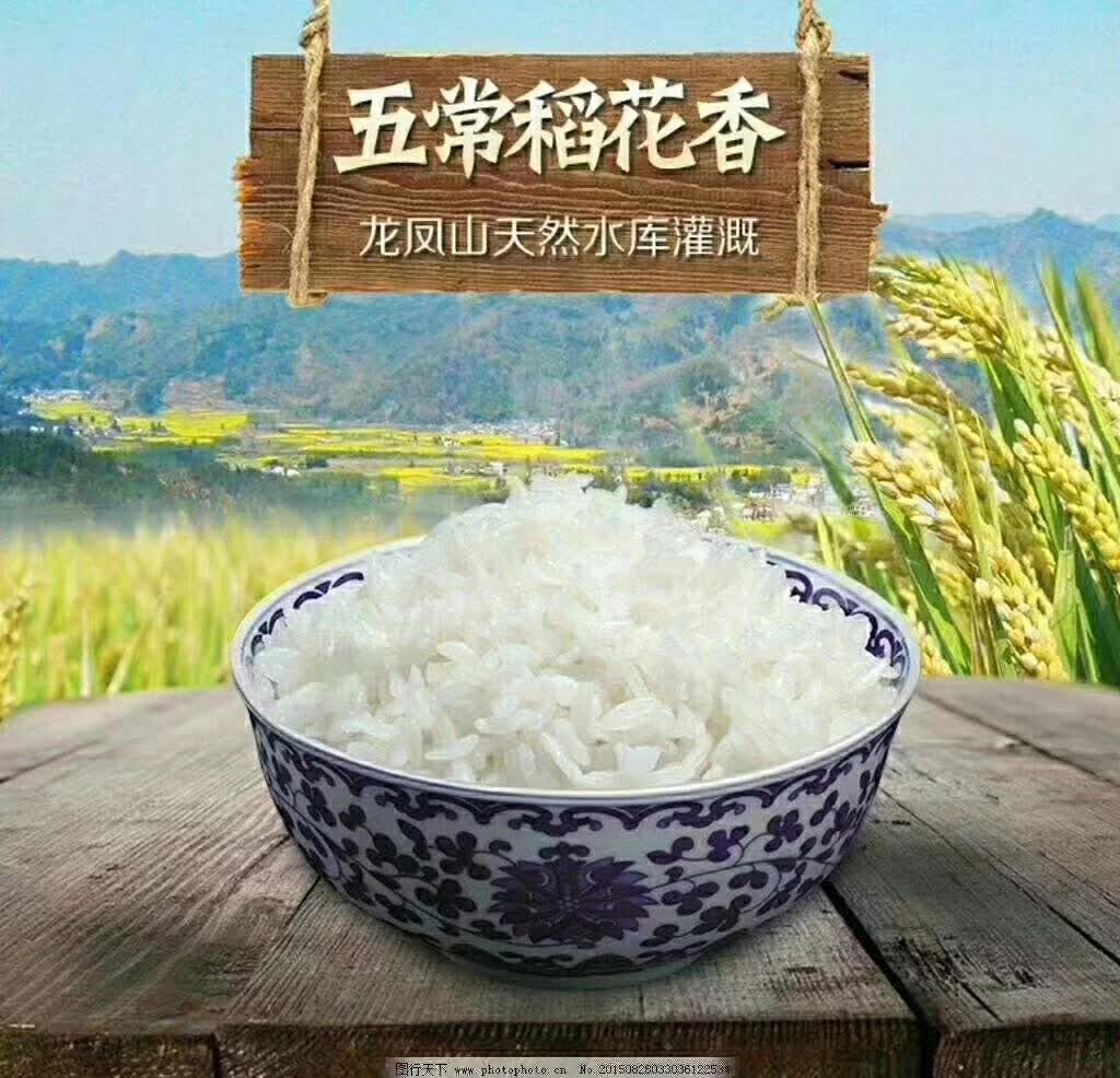 五常市五常大米 一等品 一季稻 粳米 