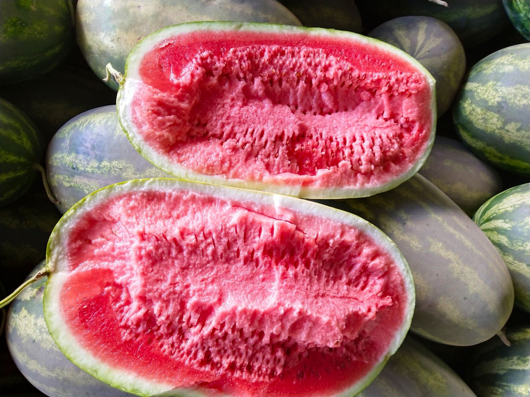 15斤打底纸箱西瓜