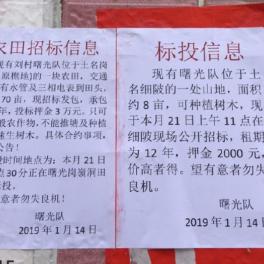 肇庆水田 出租 5~10年 50~100亩 