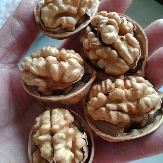 温宿县薄皮核桃 