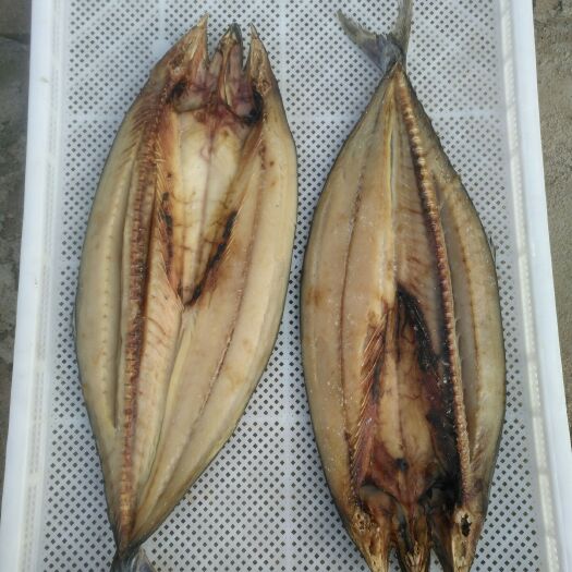 青岛鲅鱼干 