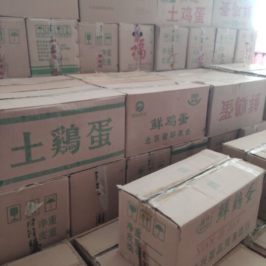 青岛粉蛋 食用 箱装 