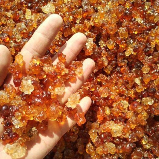 灵川县食用桃胶 6-12个月 