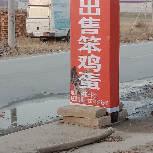 隆尧县笨鸡蛋 食用 散装 