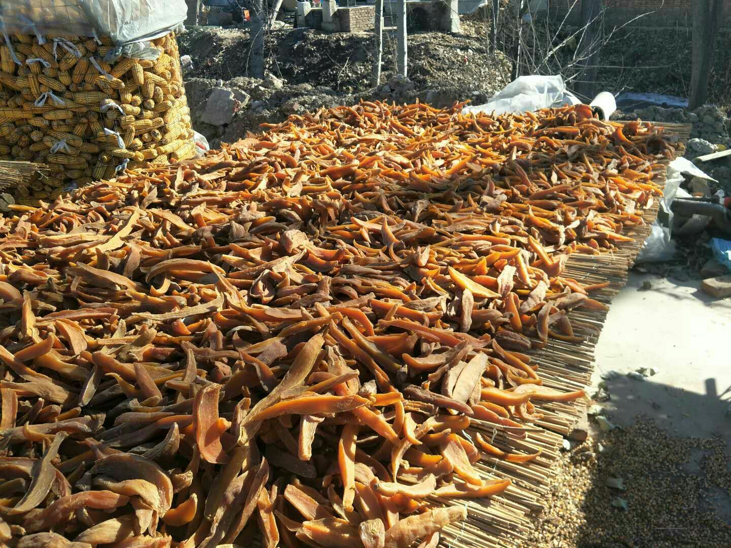 红薯干 1年 条状 礼盒装 