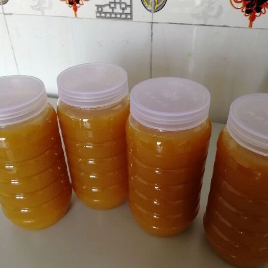洞口县土蜂蜜 塑料瓶装 2年以上 