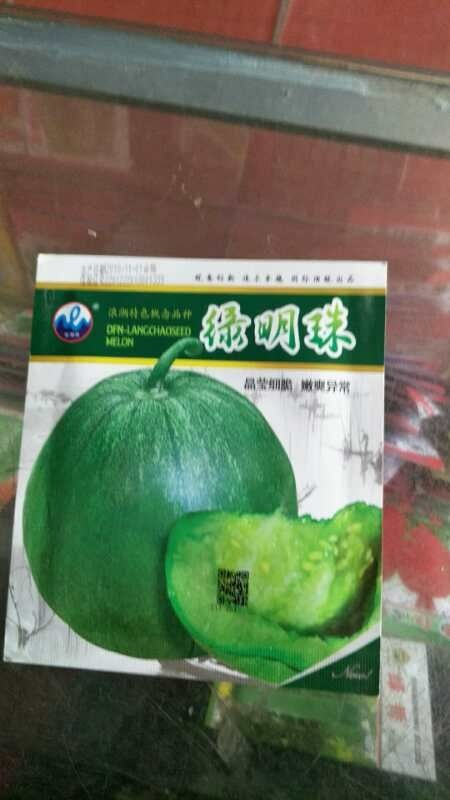 沭阳县绿宝石甜瓜种子 ≥90% 常规种（大田用种）