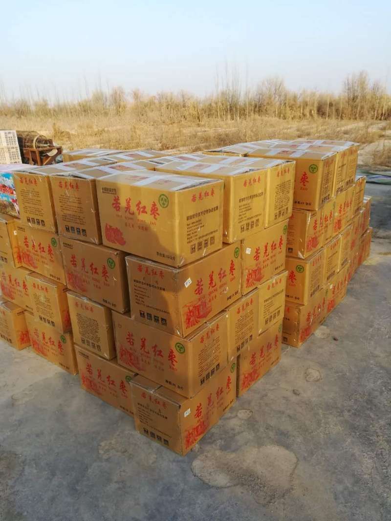 若羌灰枣 一级 