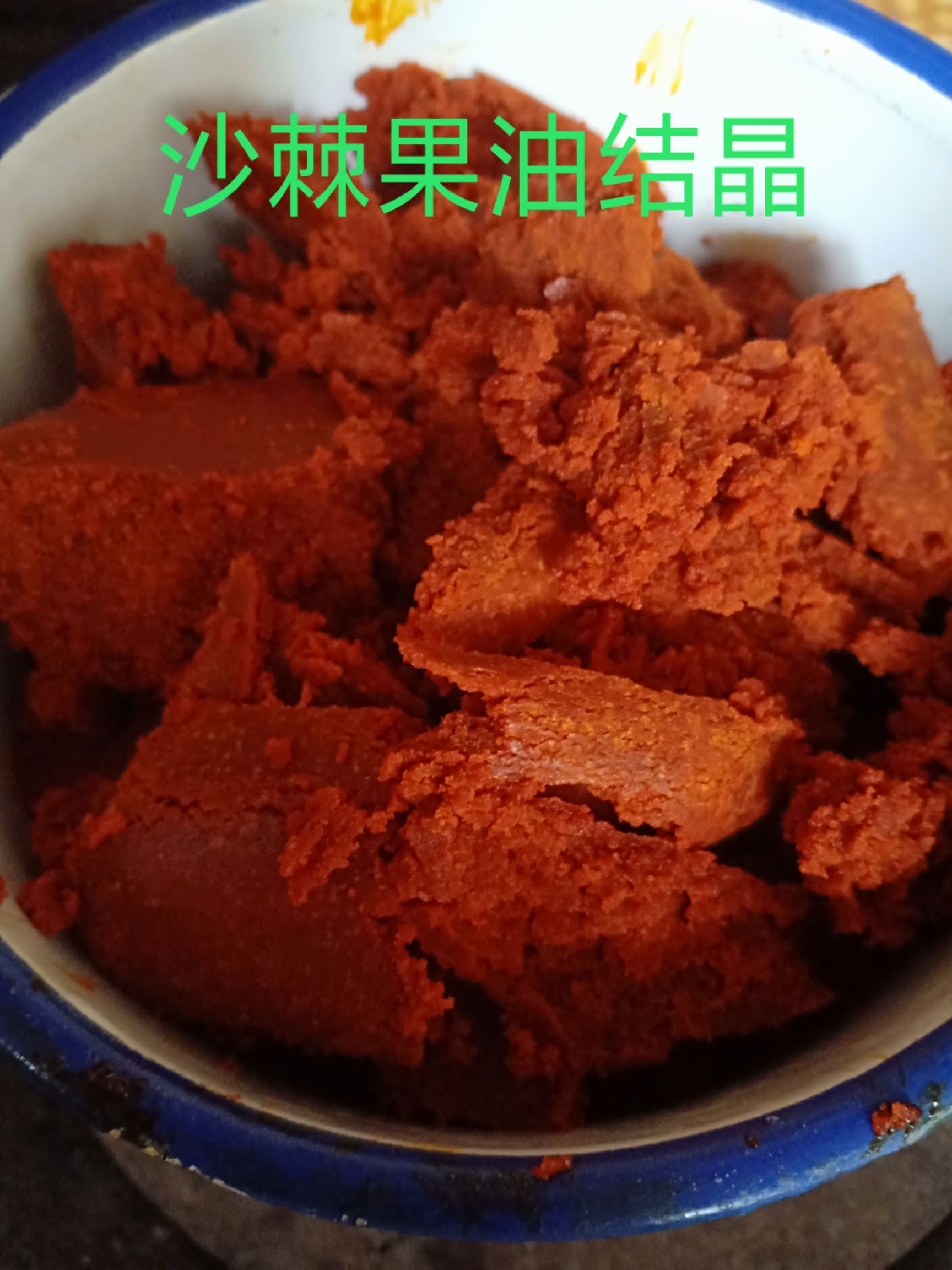 沙棘果油 
