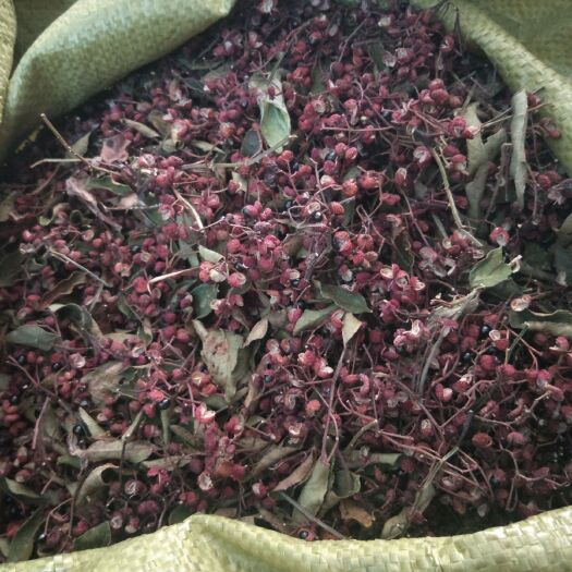 济南山东花椒  莱芜花椒