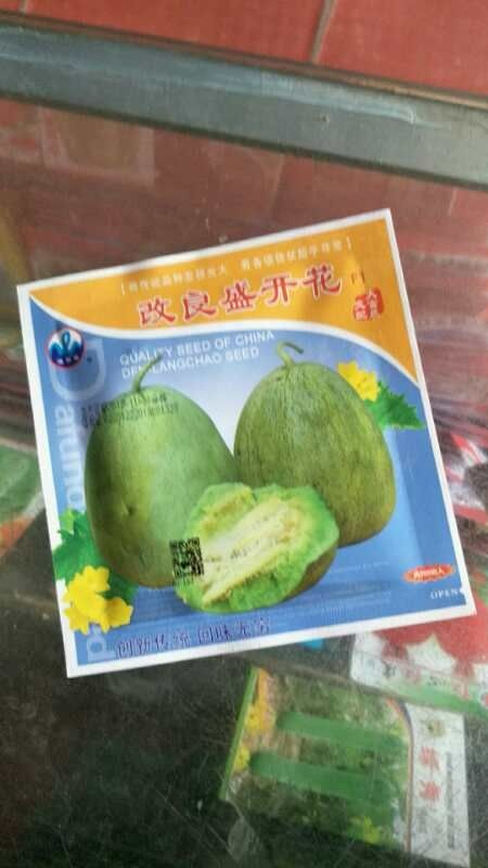 沭阳县绿宝石甜瓜种子 ≥99% 杂交种