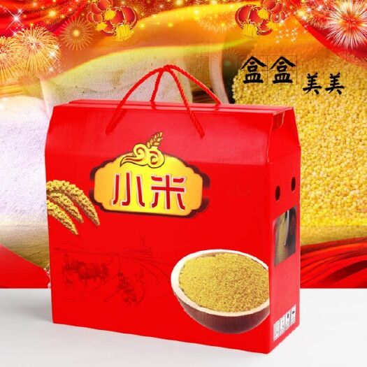 曲周县大金苗 