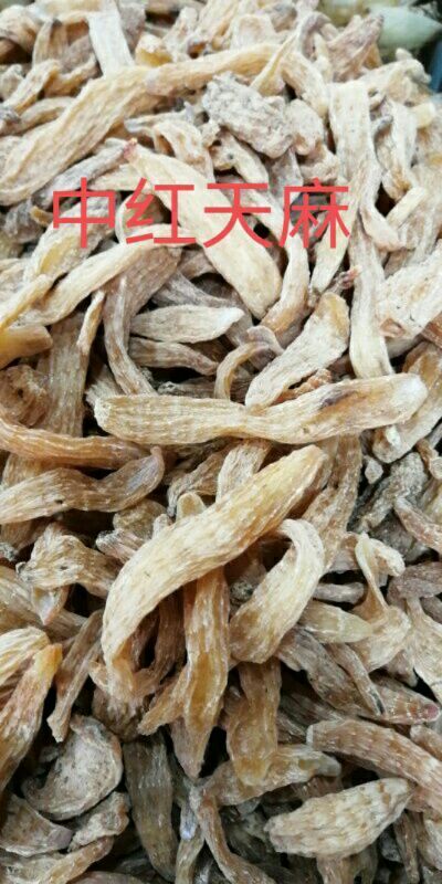 蒙自市红天麻 