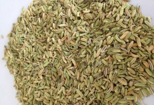 大理市香料茴香 
