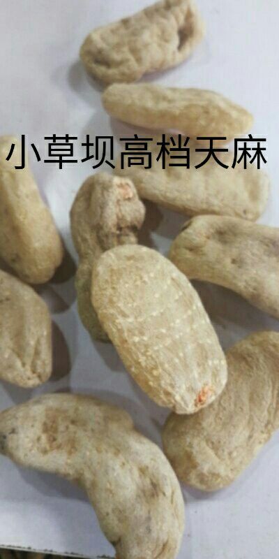 蒙自市小草坝天麻 