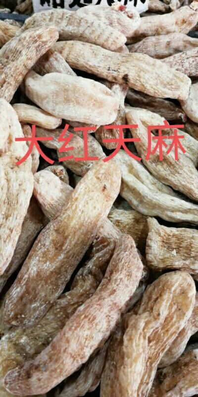 蒙自市红天麻 