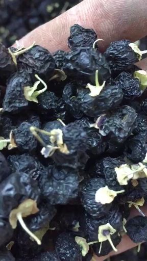 黑枸杞 特级 