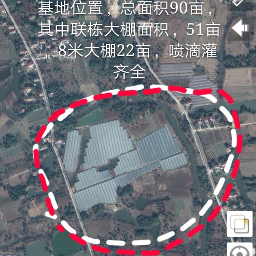长兴县水田 转让 10~20年 50~100亩 