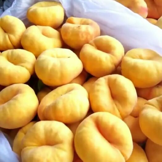 平邑县黄金蟠桃树苗 1~1.5米 