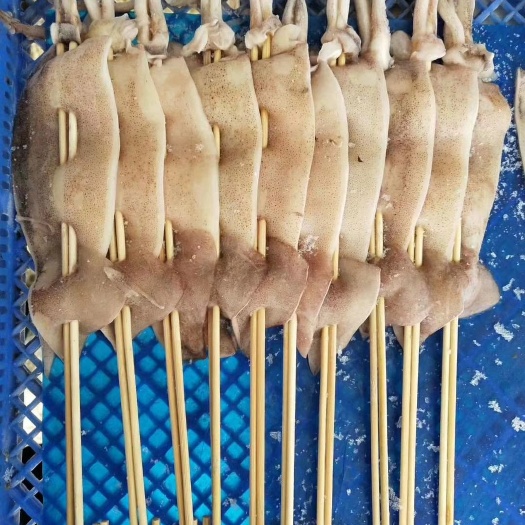 荣成市鱿鱼 