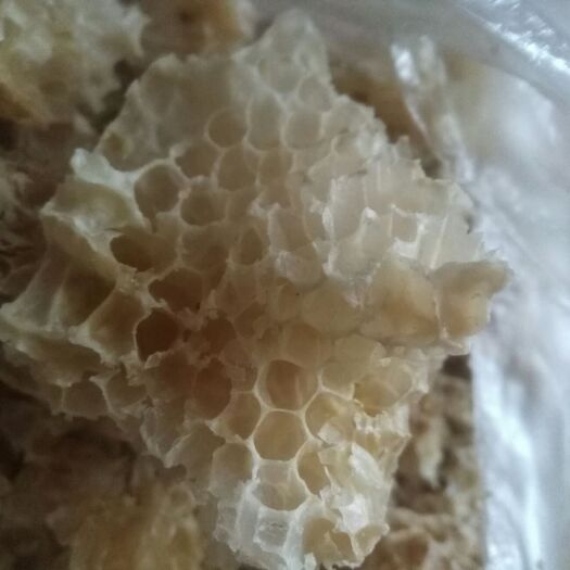 泉州蜂蜡