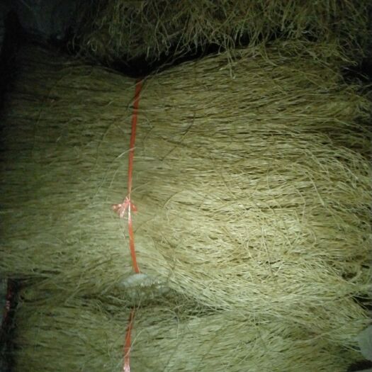 原阳县红薯粉 