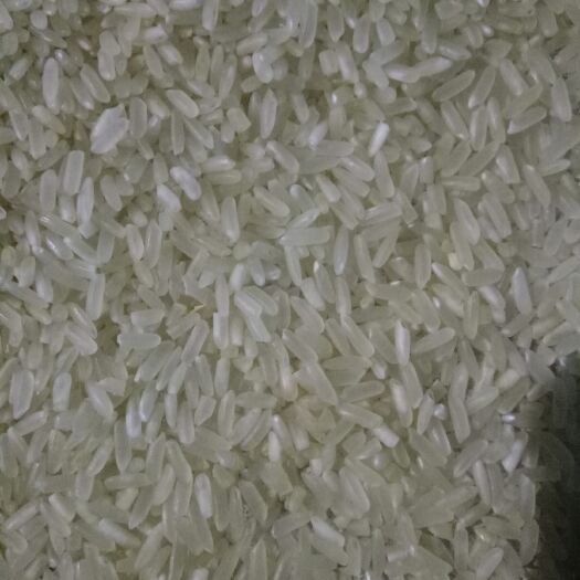 滁州籼稻谷 晚稻 