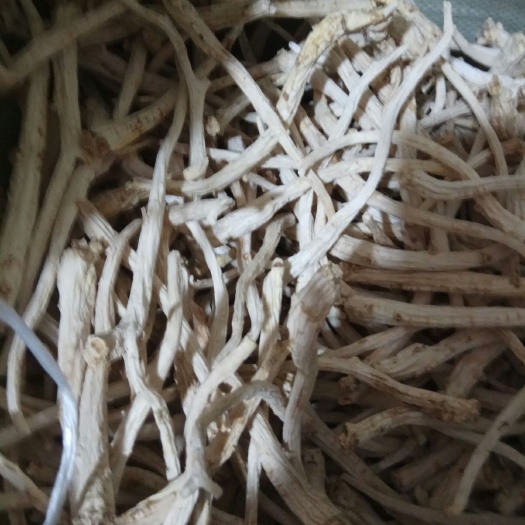商洛中药材迷迭香  干 大条干桔梗