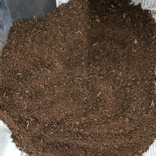 思茅茶枯 