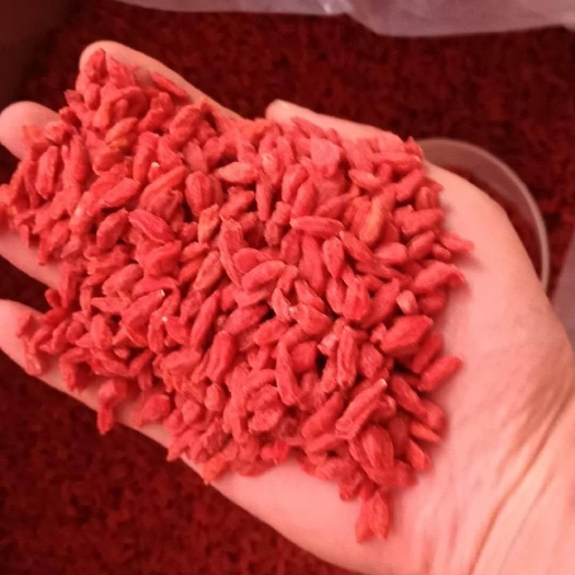 互助县黑枸杞 特优级 