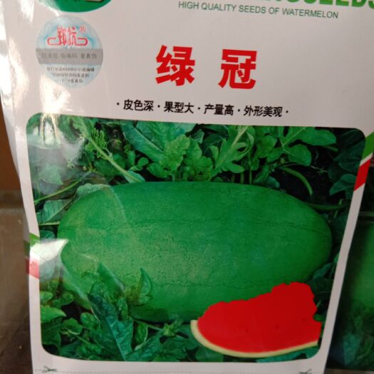 绿皮西瓜 二倍体杂交种 ≥90% 