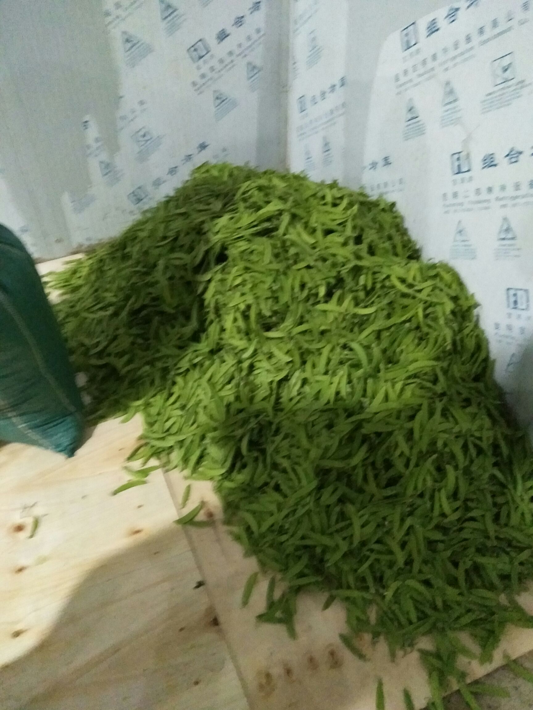 荚豆 8cm以下 