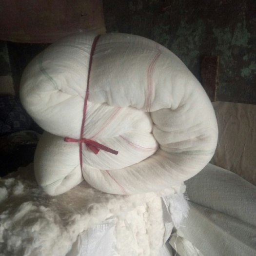 阿拉尔网套 