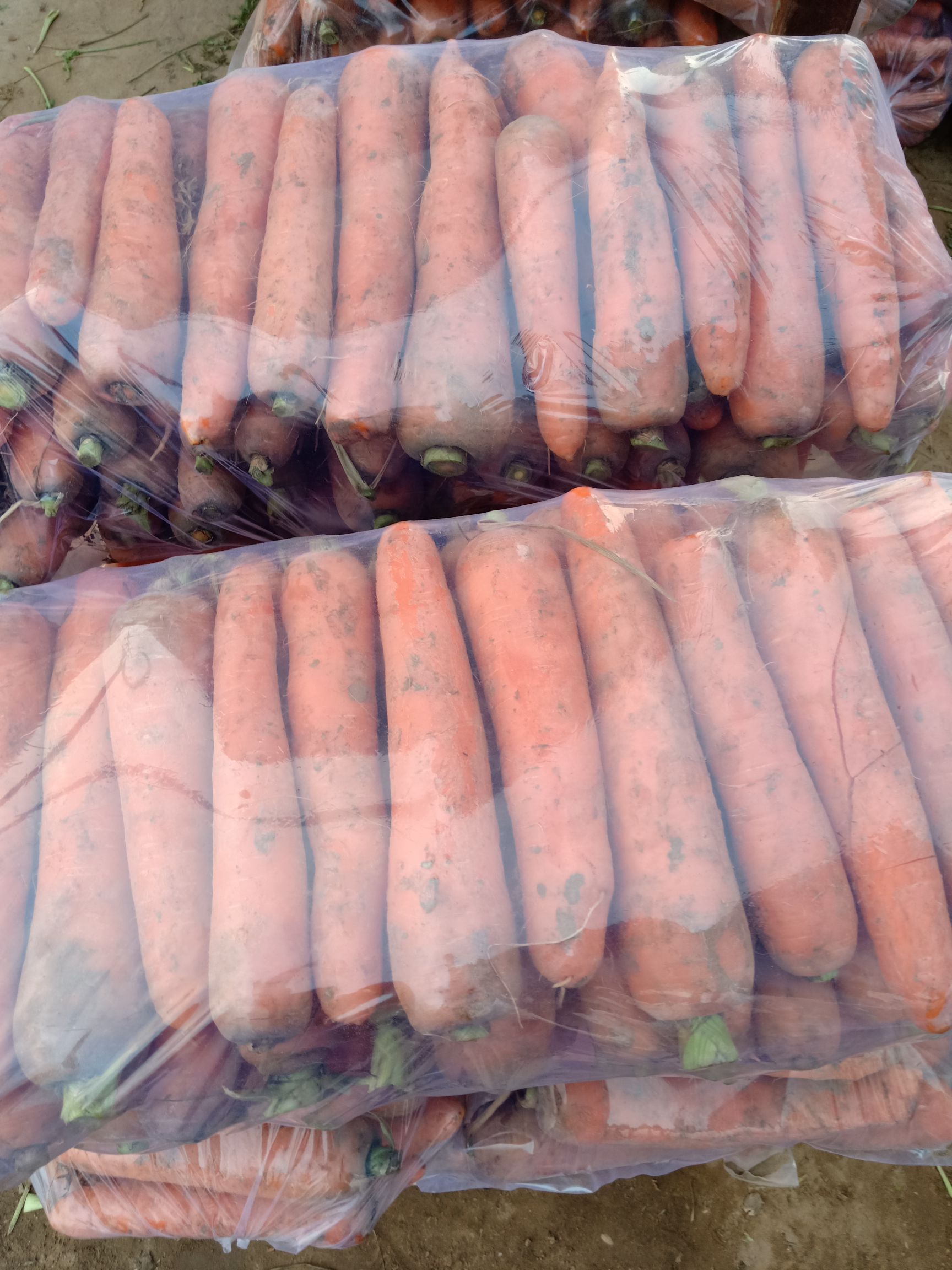 水洗,带苗,土货,电商,市场,超市,养殖场,加工厂,产地直供 水洗,带苗,土货,电商,市场,超市,养殖场,加工厂,产地直供