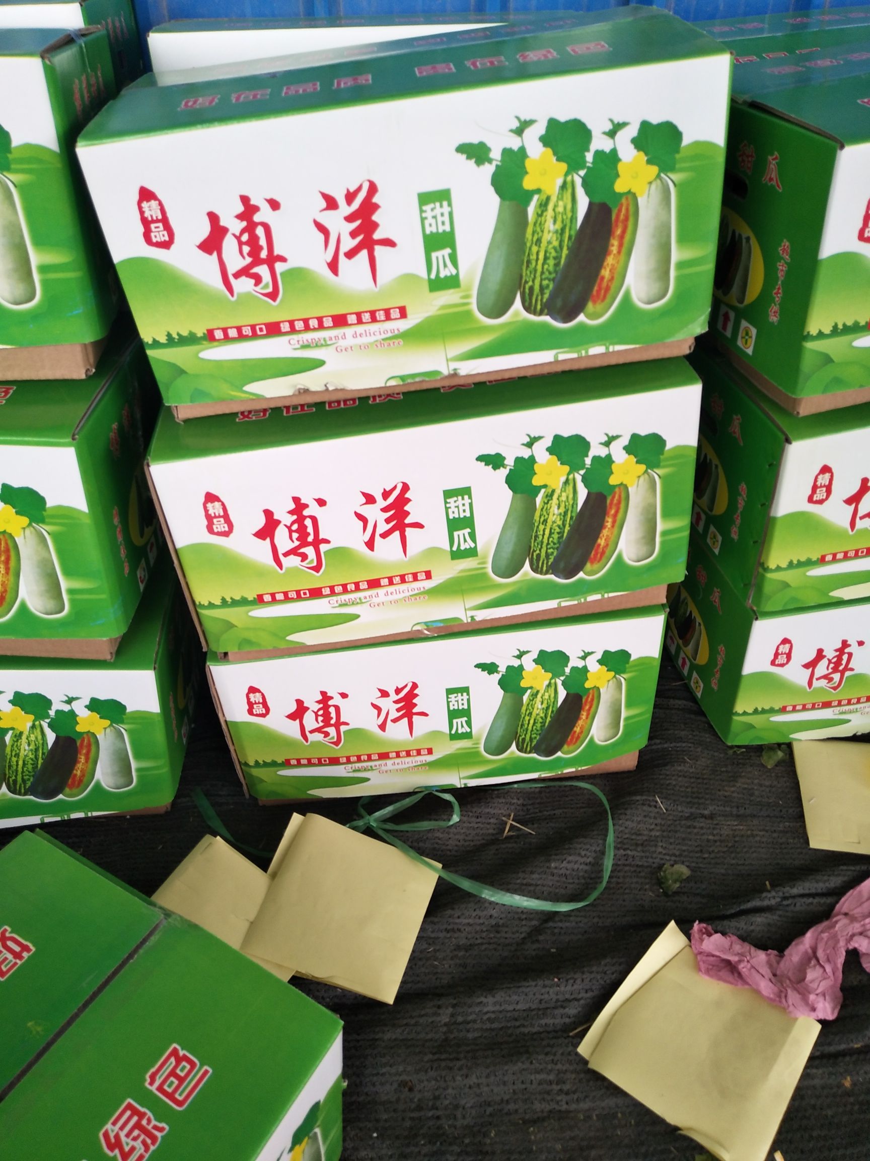  博洋蜜瓜，甜瓜香瓜哈密瓜基地，品种上百种