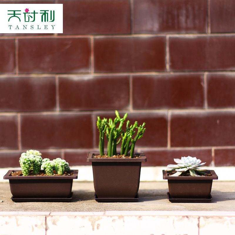 花盆 仿紫砂 多肉 正方形长方形塑料 小盆栽小盆景种植