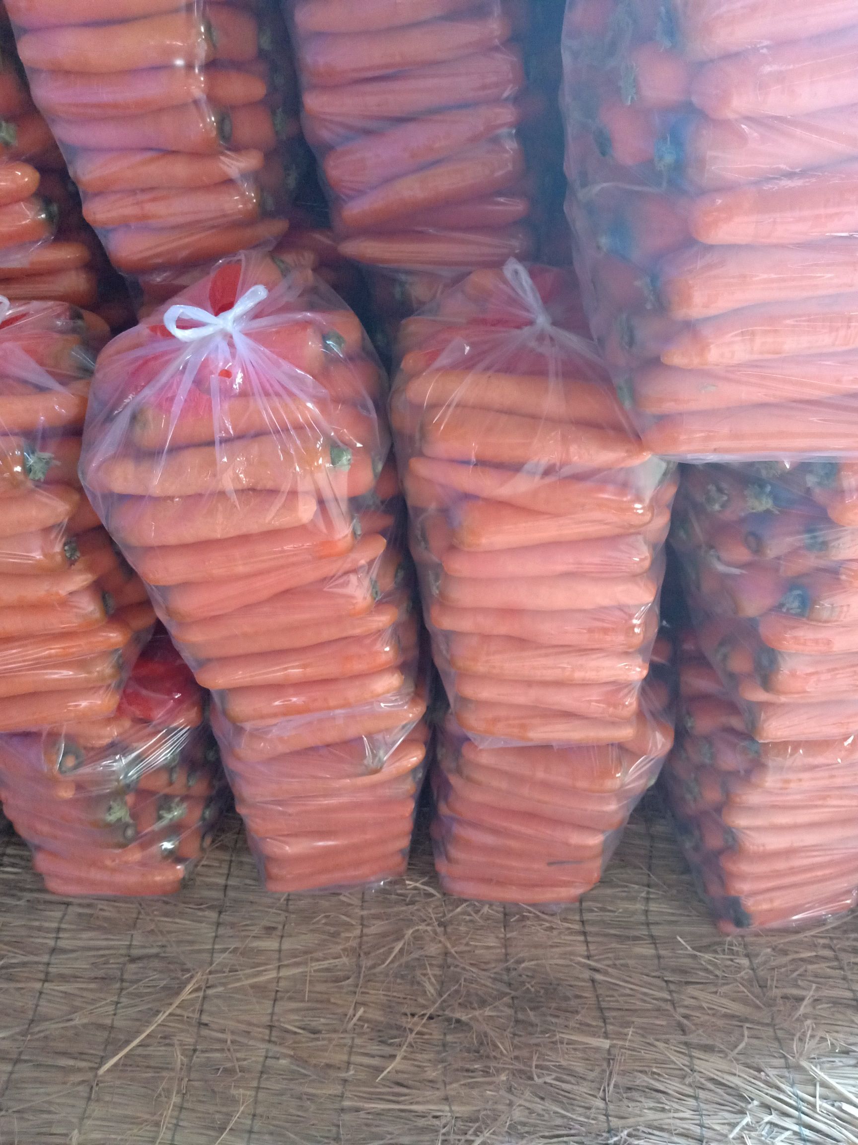 水洗,带苗,土货,电商,市场,超市,养殖场,加工厂,产地直供 水洗,带苗,土货,电商,市场,超市,养殖场,加工厂,产地直供