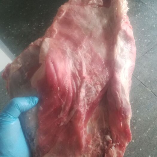 献县羊排 生肉 