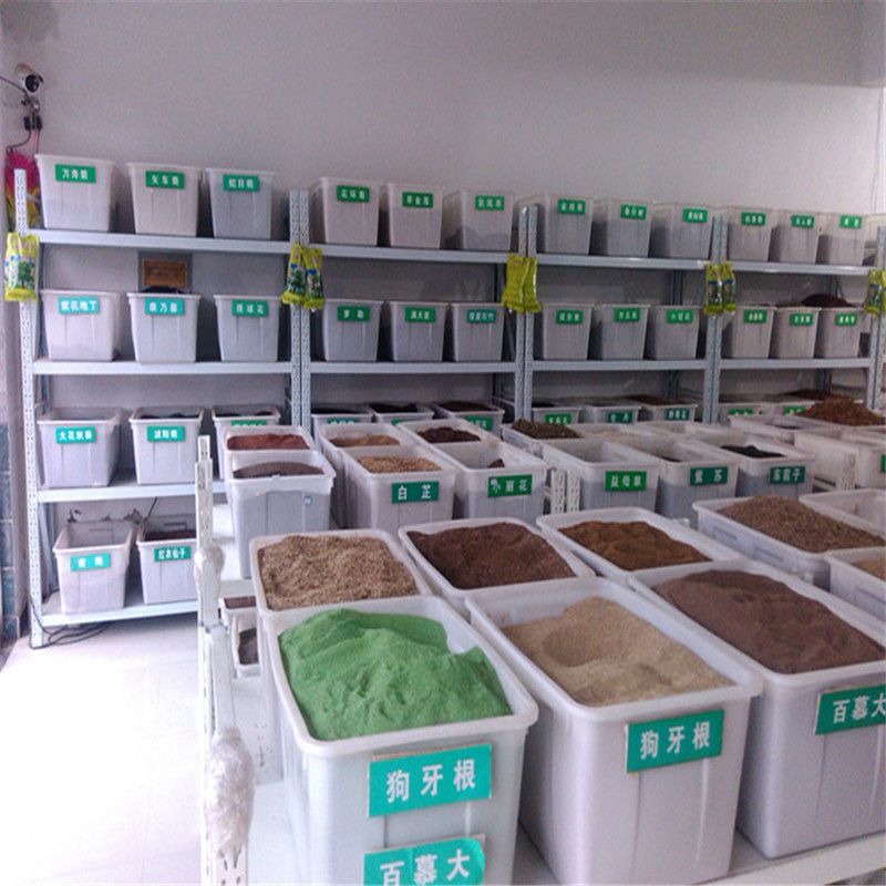 矮雪轮种子 