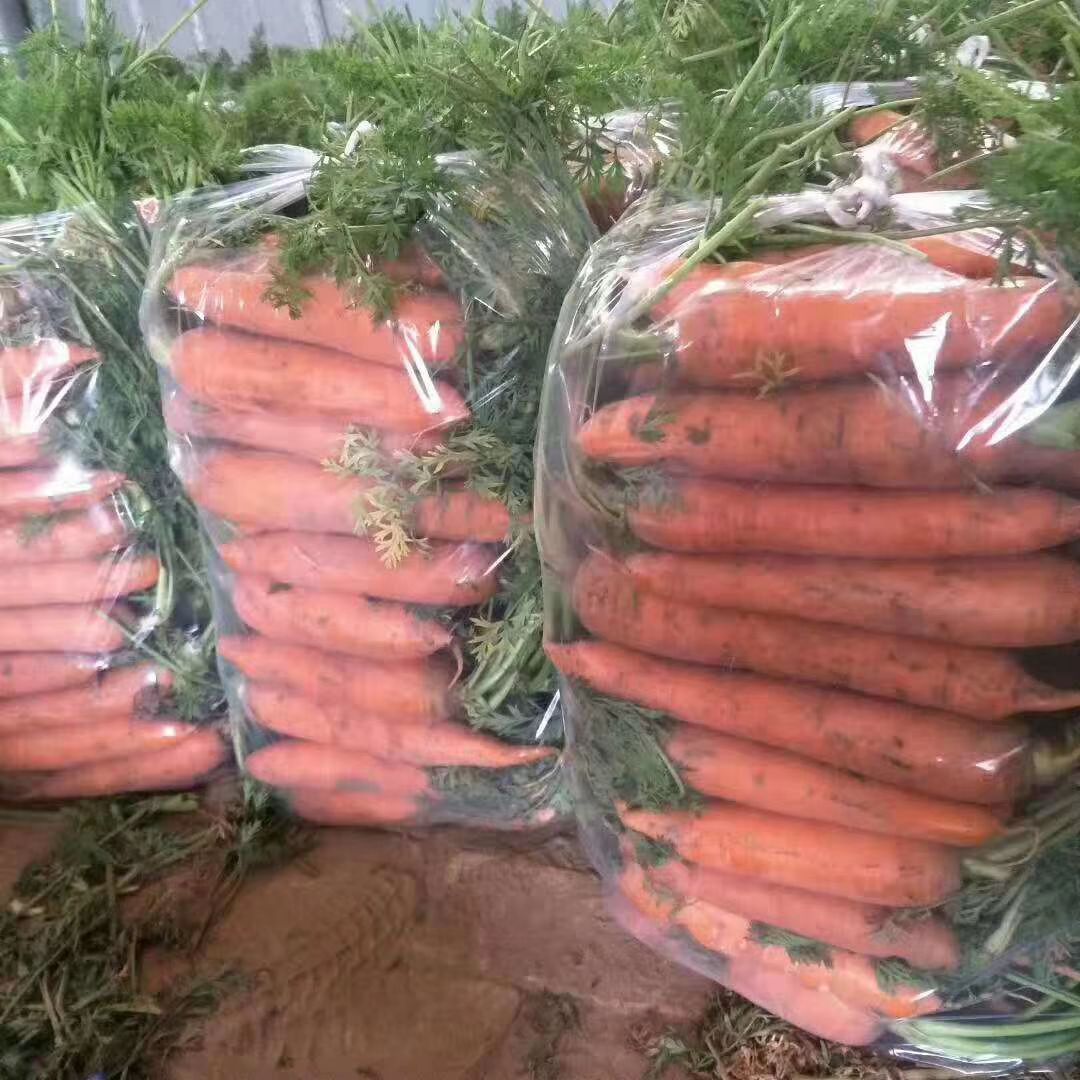 水洗,带苗,土货,电商,市场,超市,养殖场,加工厂,产地直供 水洗,带苗,土货,电商,市场,超市,养殖场,加工厂,产地直供