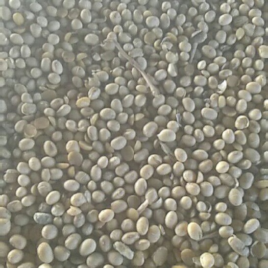 安阳县黄大豆 生大豆 2等品 
