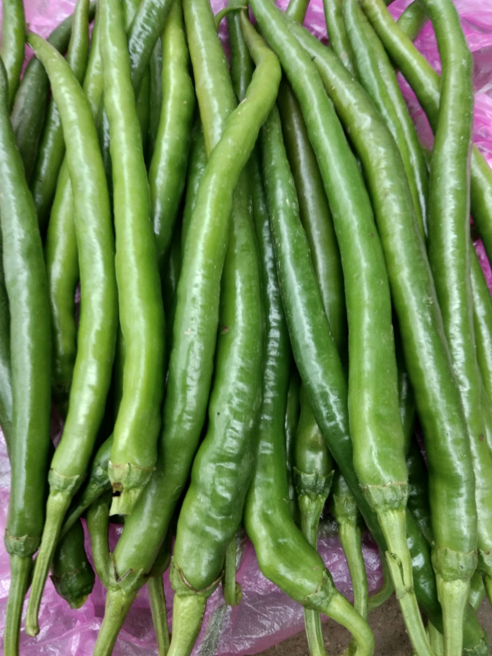 [301辣椒批发]301辣椒 15~20cm 微辣 靑色 价格0.65元/斤 - 惠农网