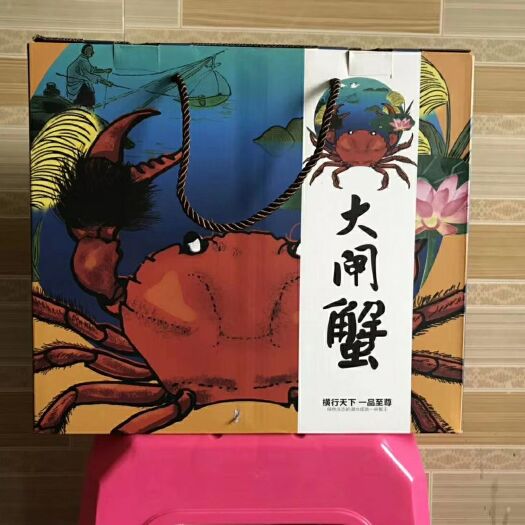 镇江长荡湖大闸蟹 母蟹 2.5两 