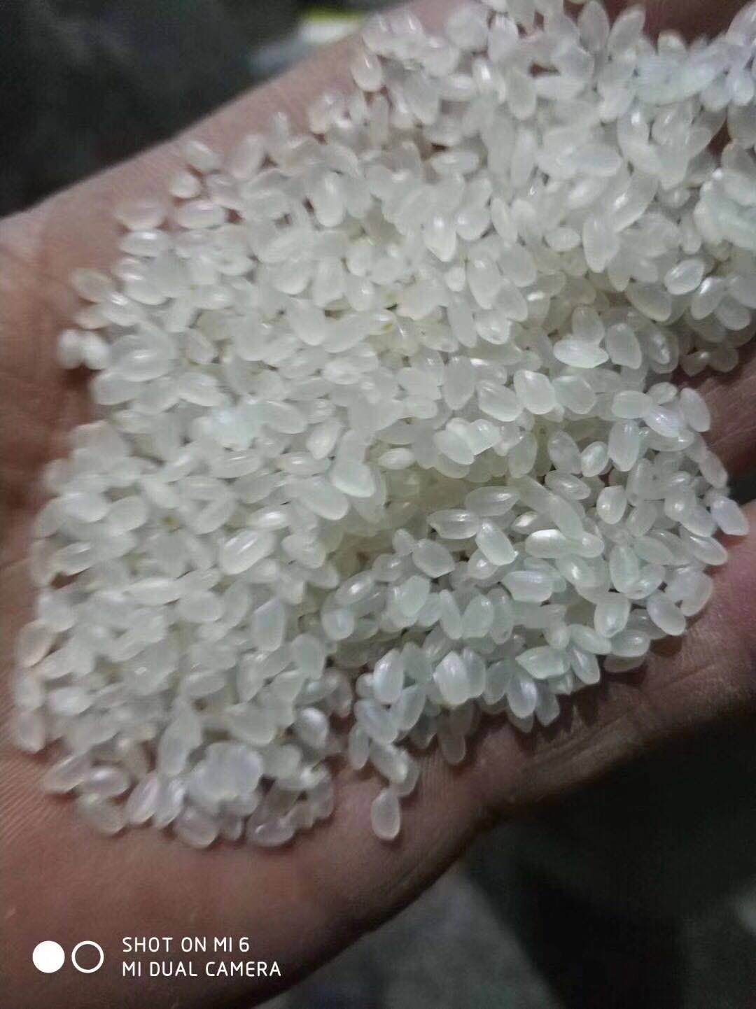 乐亭县东北大米 一等品 一季稻 粳米 