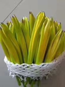 西安大荔黄花菜 一级 袋装 
