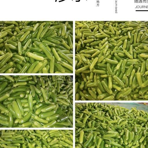 青州市绿皮西葫芦 0.5斤~1斤
