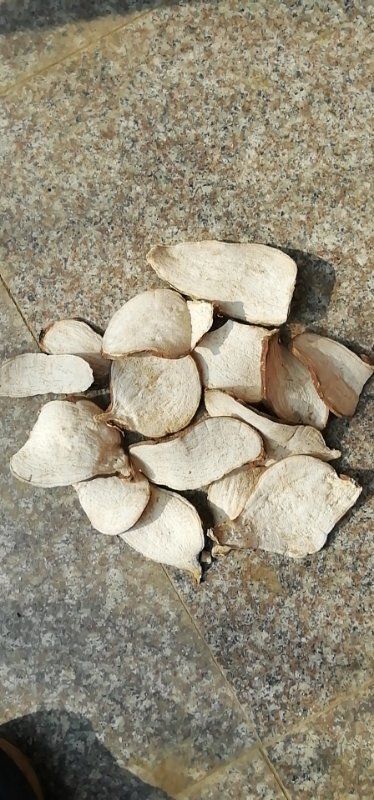 沈丘县农家自制生地瓜干 1年以上 片状 散装 