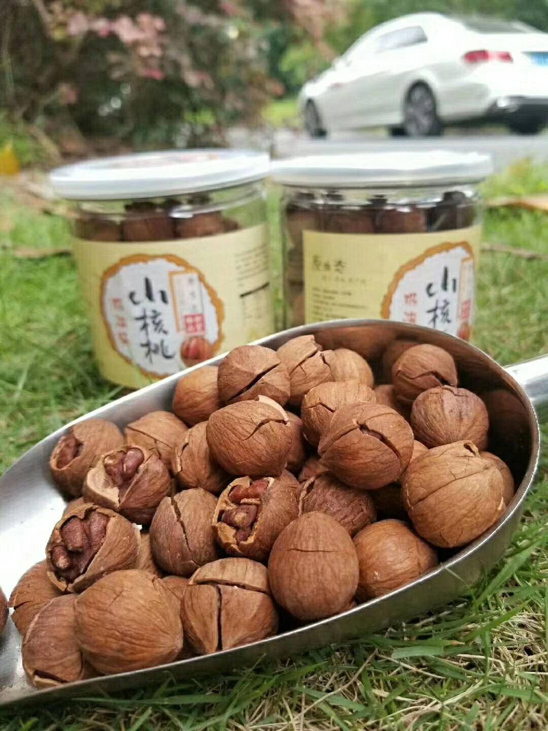 临安小核桃 
